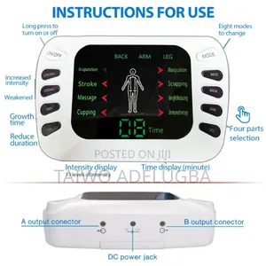 Electronic Pulse Massager