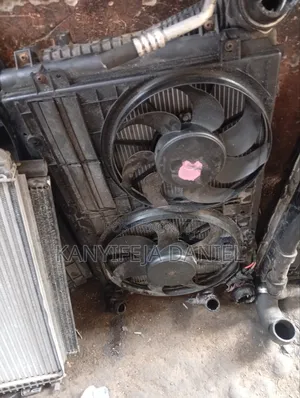 Volkswagen Fan