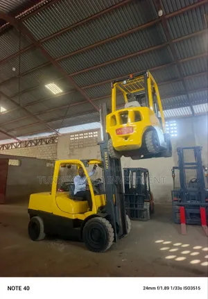 Just Arrive 5tons Hysteria Forklift Available for Sale
