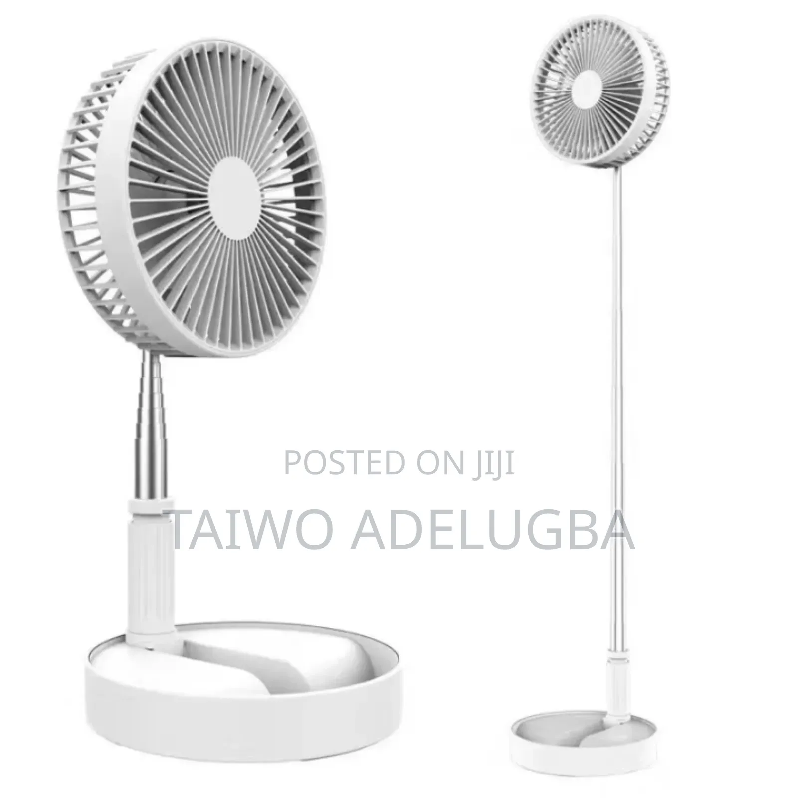 Beautiful Foldable Fan
