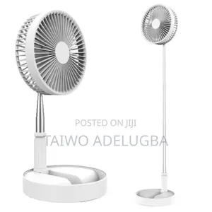 Beautiful Foldable Fan