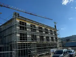 Original Scaffolding Pipes