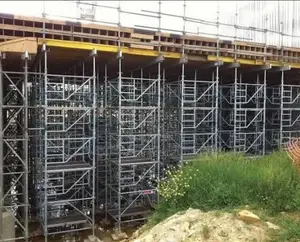 Original Scaffolding Pipes