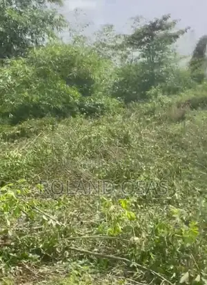 100ft by 100ft of Land for Sale
