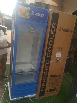 Snowsea Chiller Lc400 – No Repairs Needed