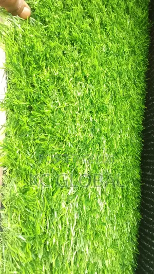 Artificial Grass Available in Different Sizes and Colors. ( 30 Mm)