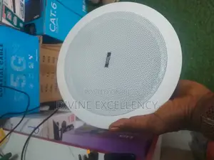 100 Watts JBL Ceiling Speakers 