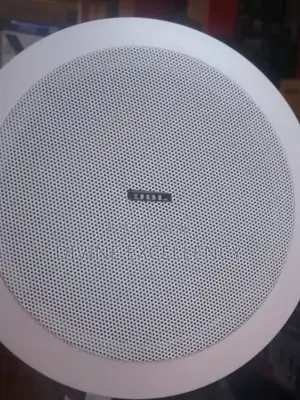 100 Watts JBL Ceiling Speakers 