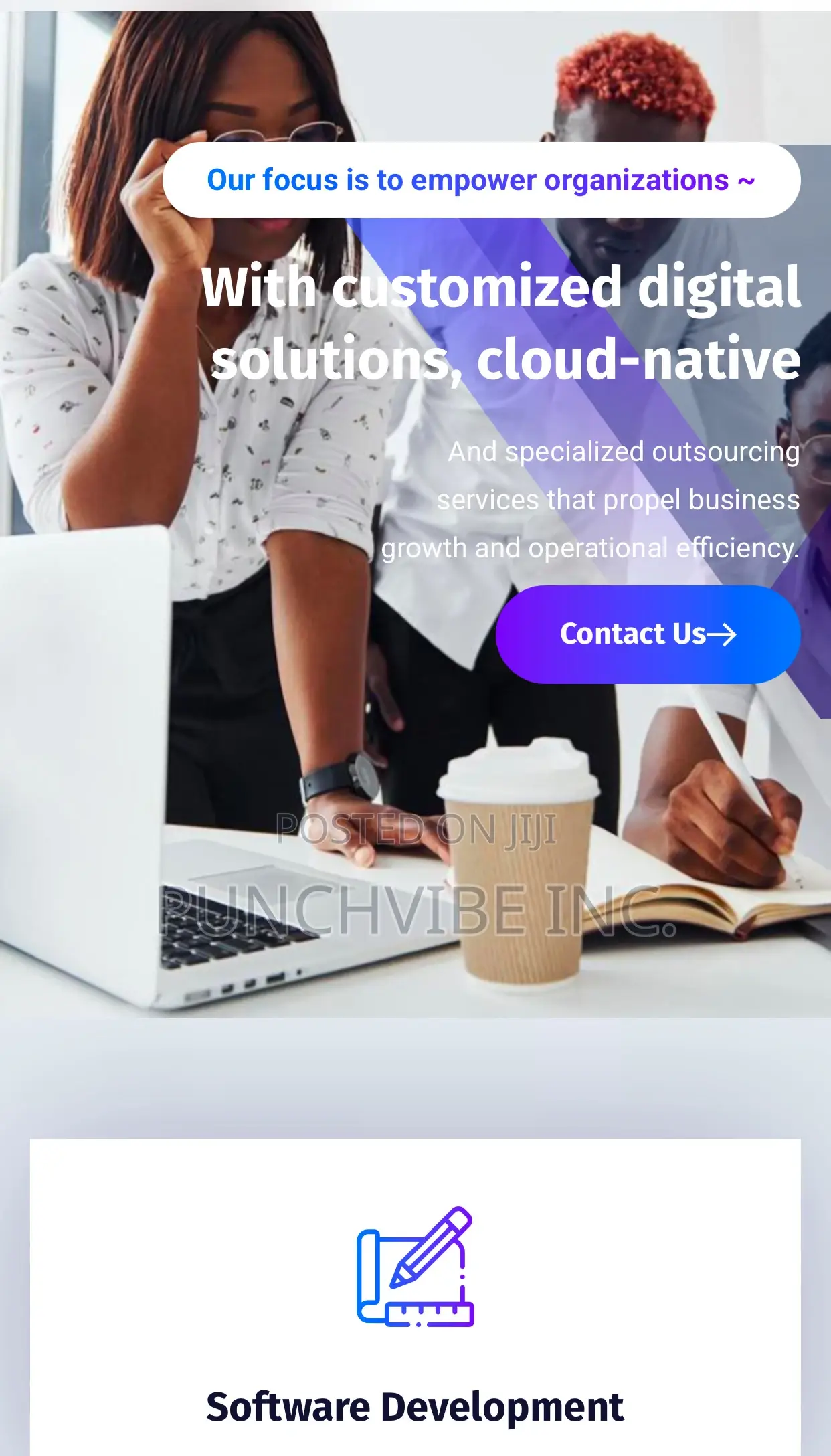 Website Developing/Design, Cac Business Name Registration