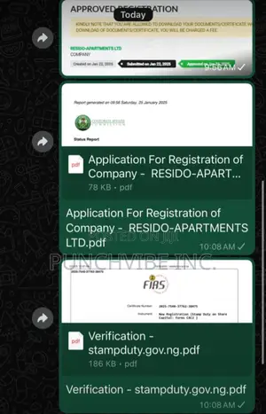 Website Developing/Design, Cac Business Name Registration