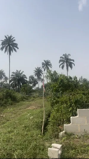 Dry Secure Land in Omagwa | Close to Ph Airport | Buy Build