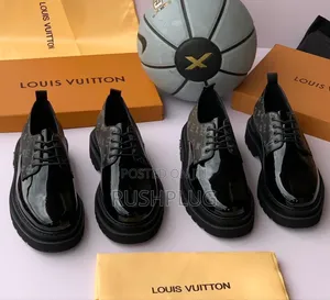 Louis Vuitton Crested Luxury Shoes