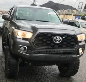 Toyota Tacoma 2019 Gray