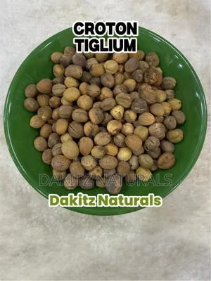 Croton Tiglium 100g