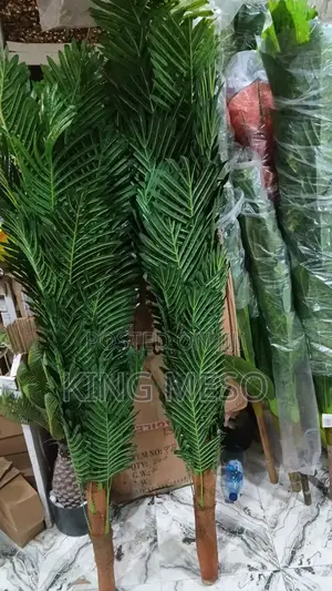 Bush Plam Leaf Available