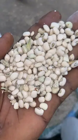 Sokoto (White Beans)