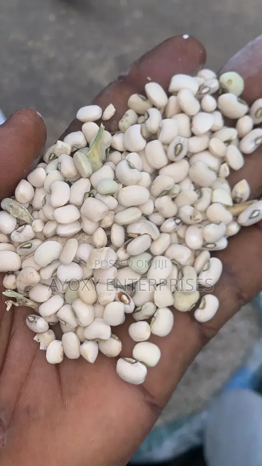 Sokoto (White Beans)