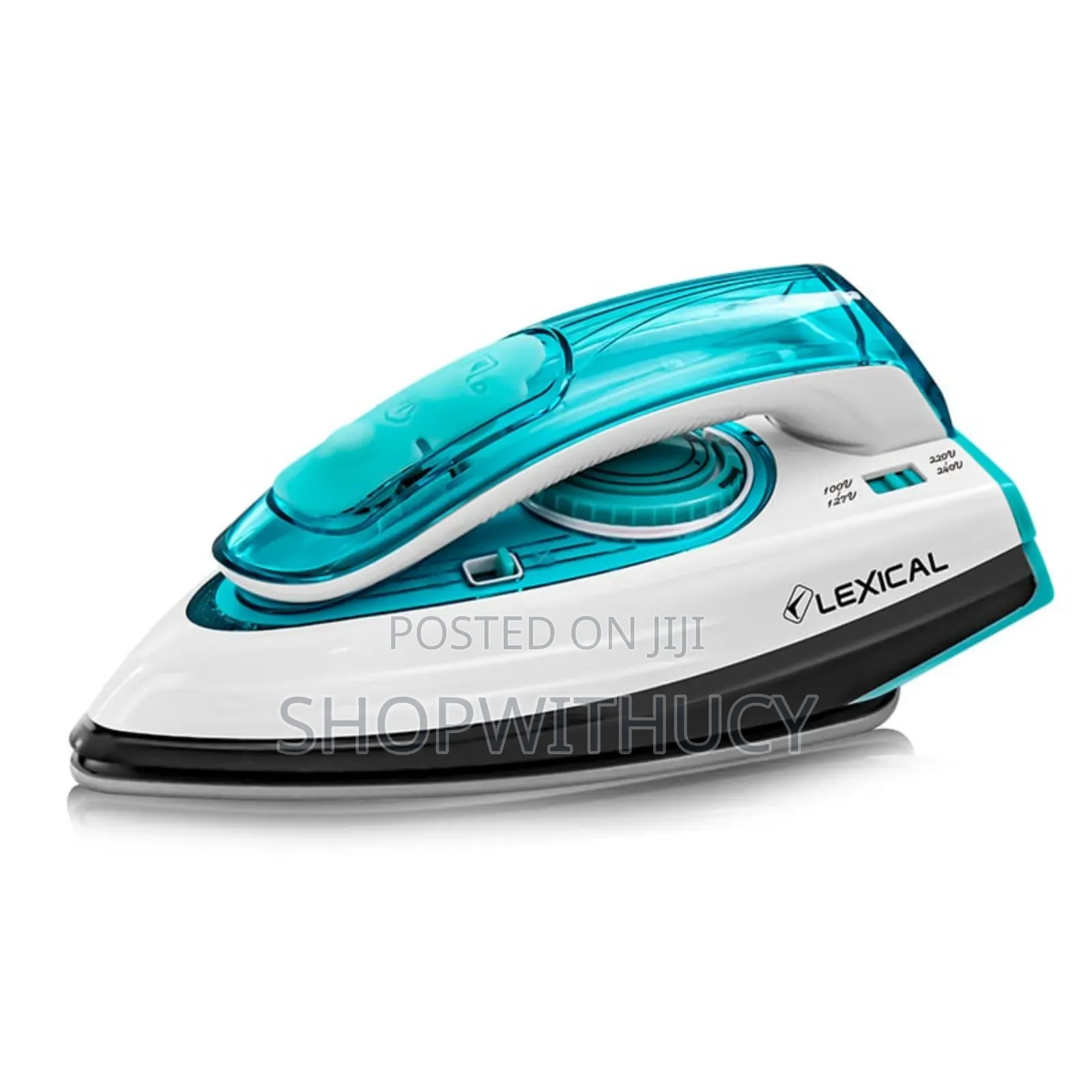 Foldable Travel Steam Iron.