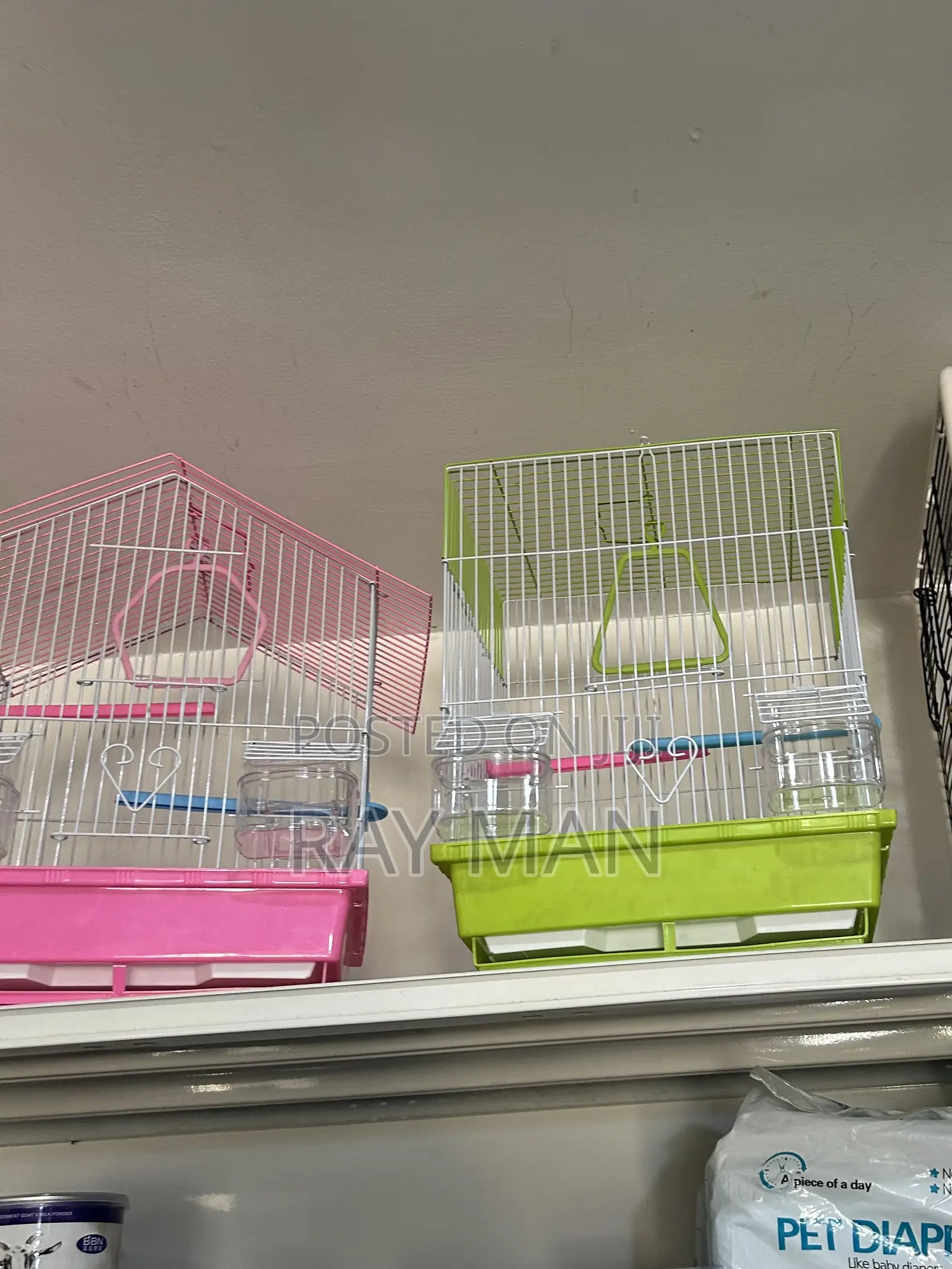 Parrot Cage