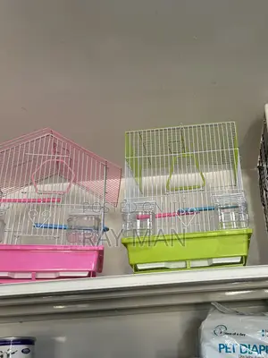 Parrot Cage