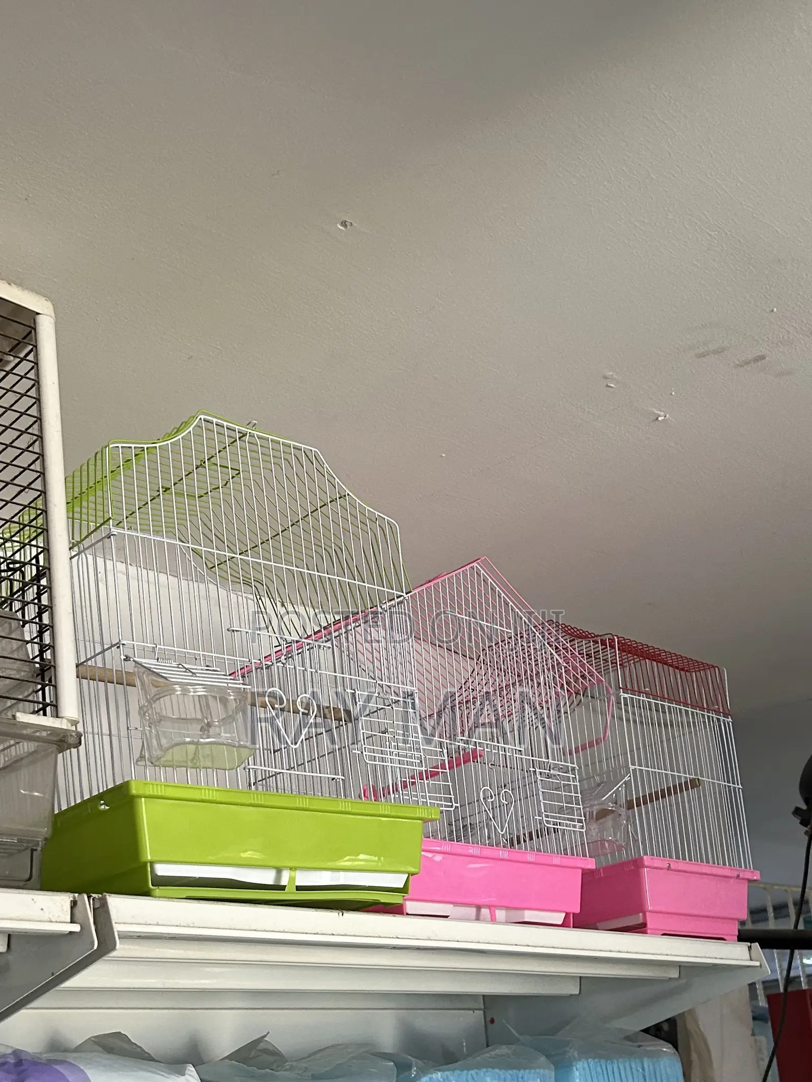 Parrot Cage