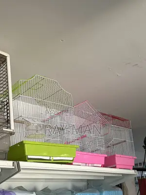Parrot Cage