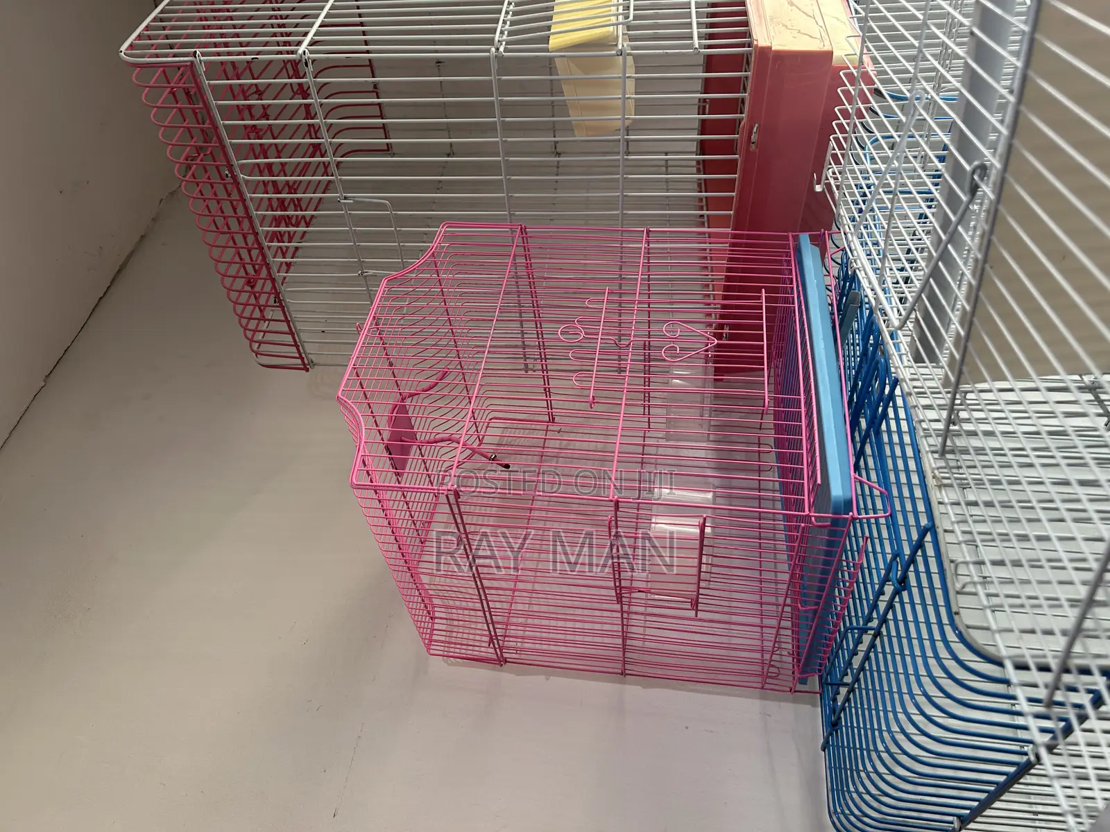 Parrot Cage