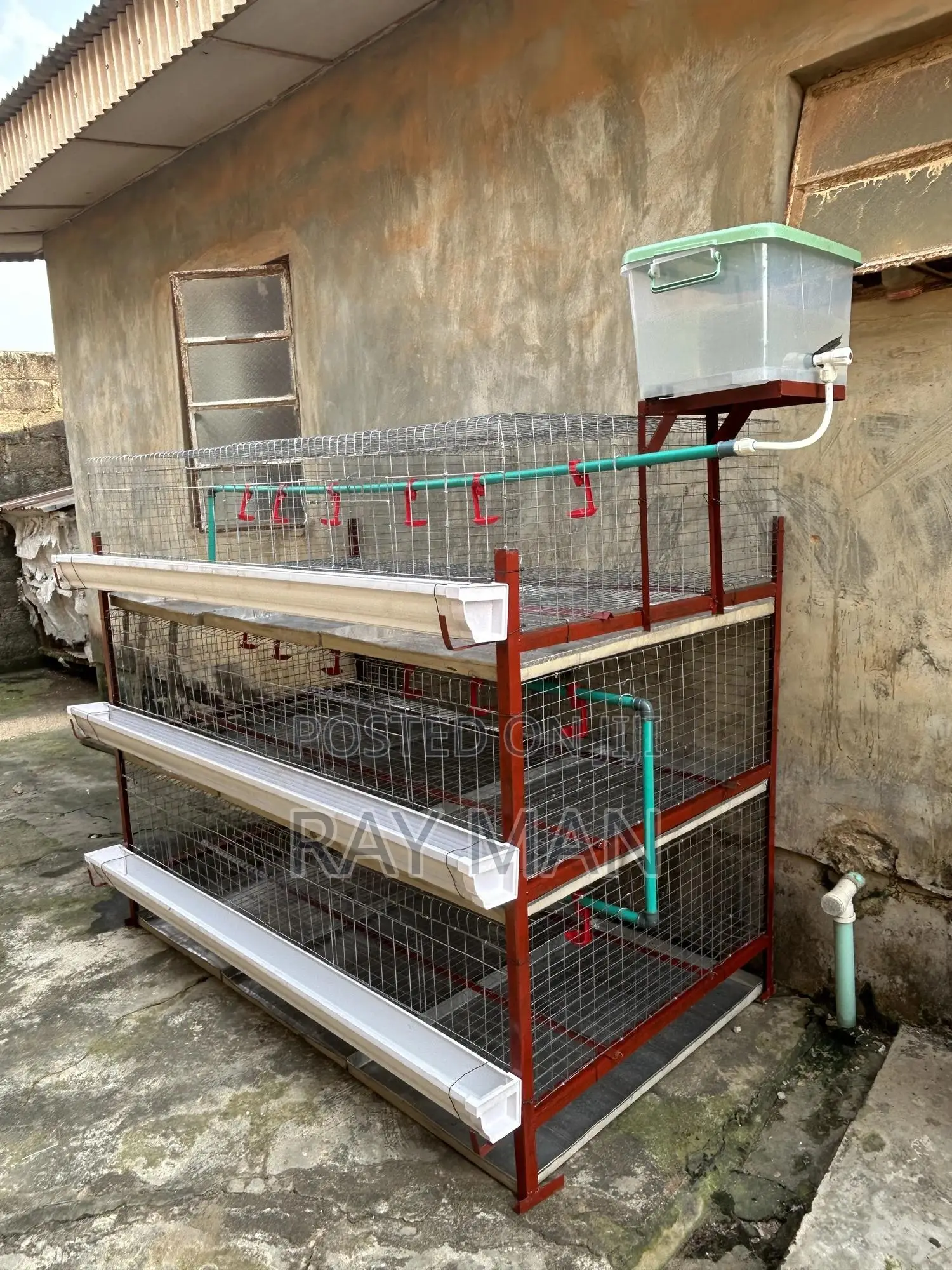 Poultry Cages 100 Birds (For Layers or Broilers)