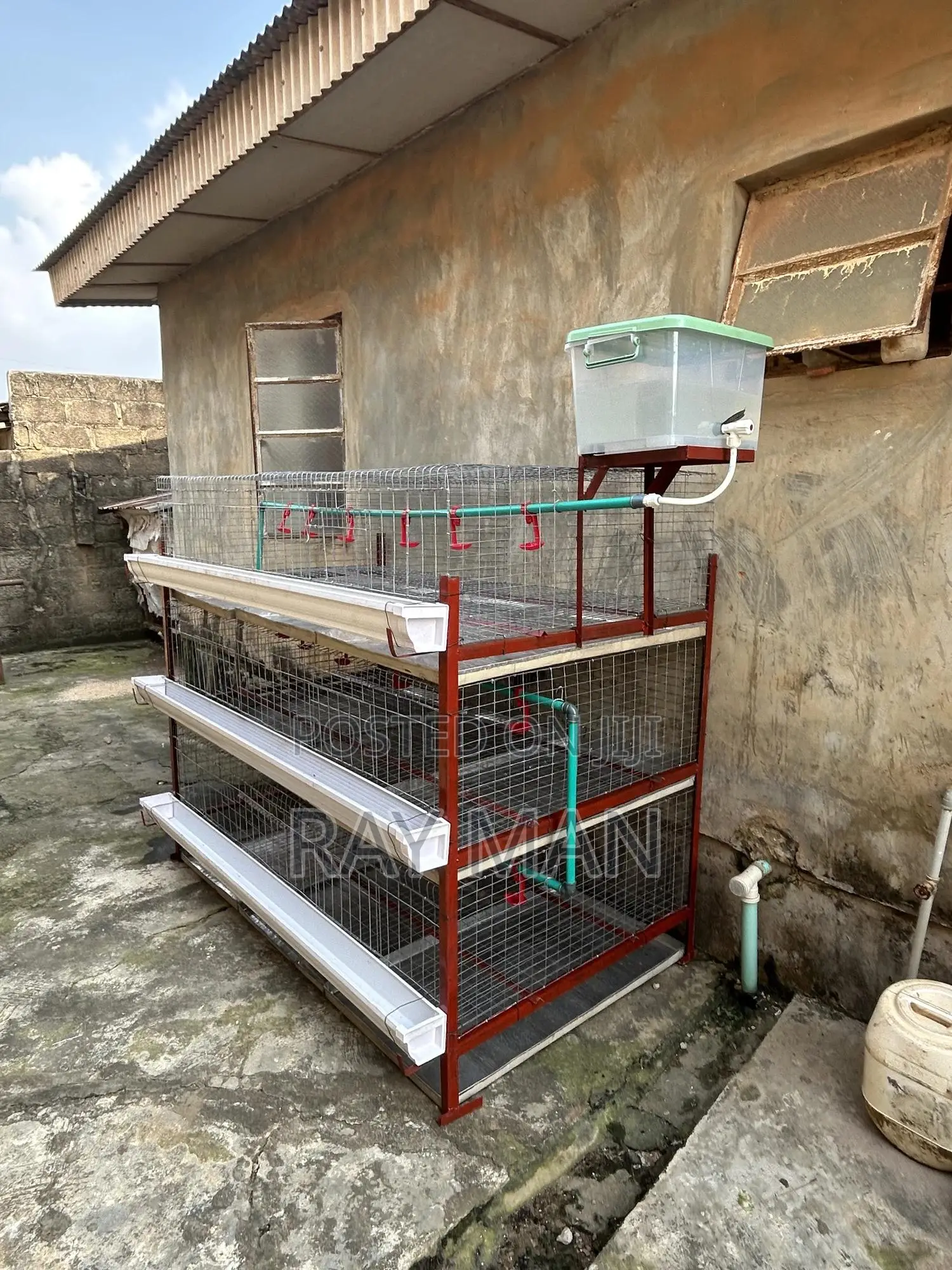 Poultry Cages 100 Birds (For Layers or Broilers)