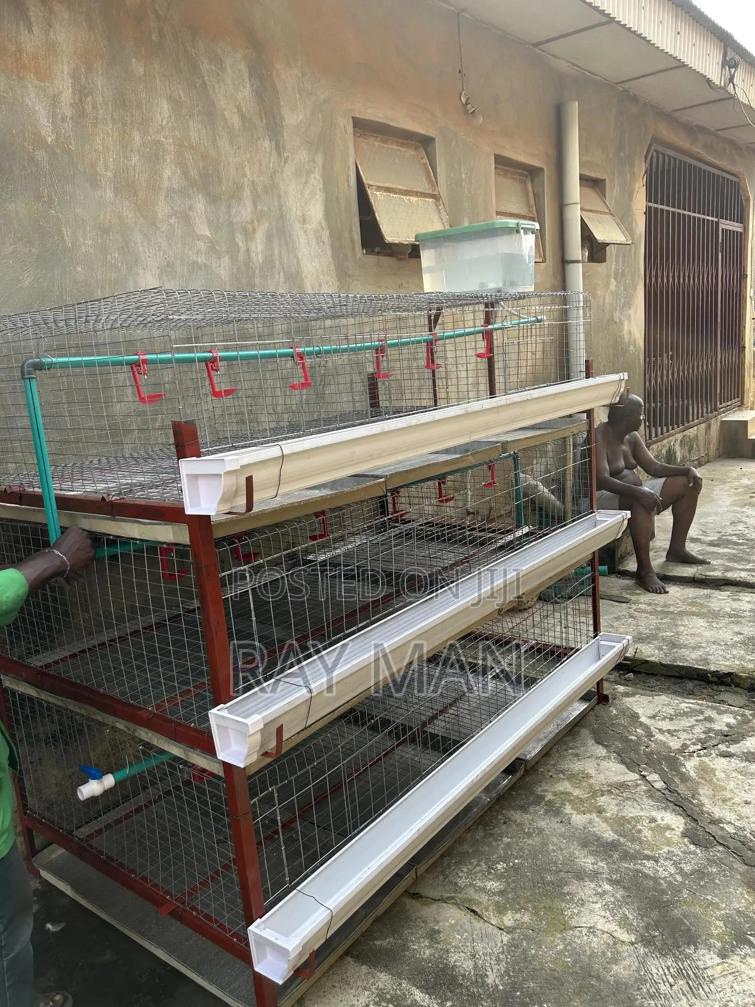 Poultry Cages 100 Birds (For Layers or Broilers)