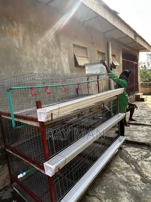 Poultry Cages 100 Birds (For Layers or Broilers)