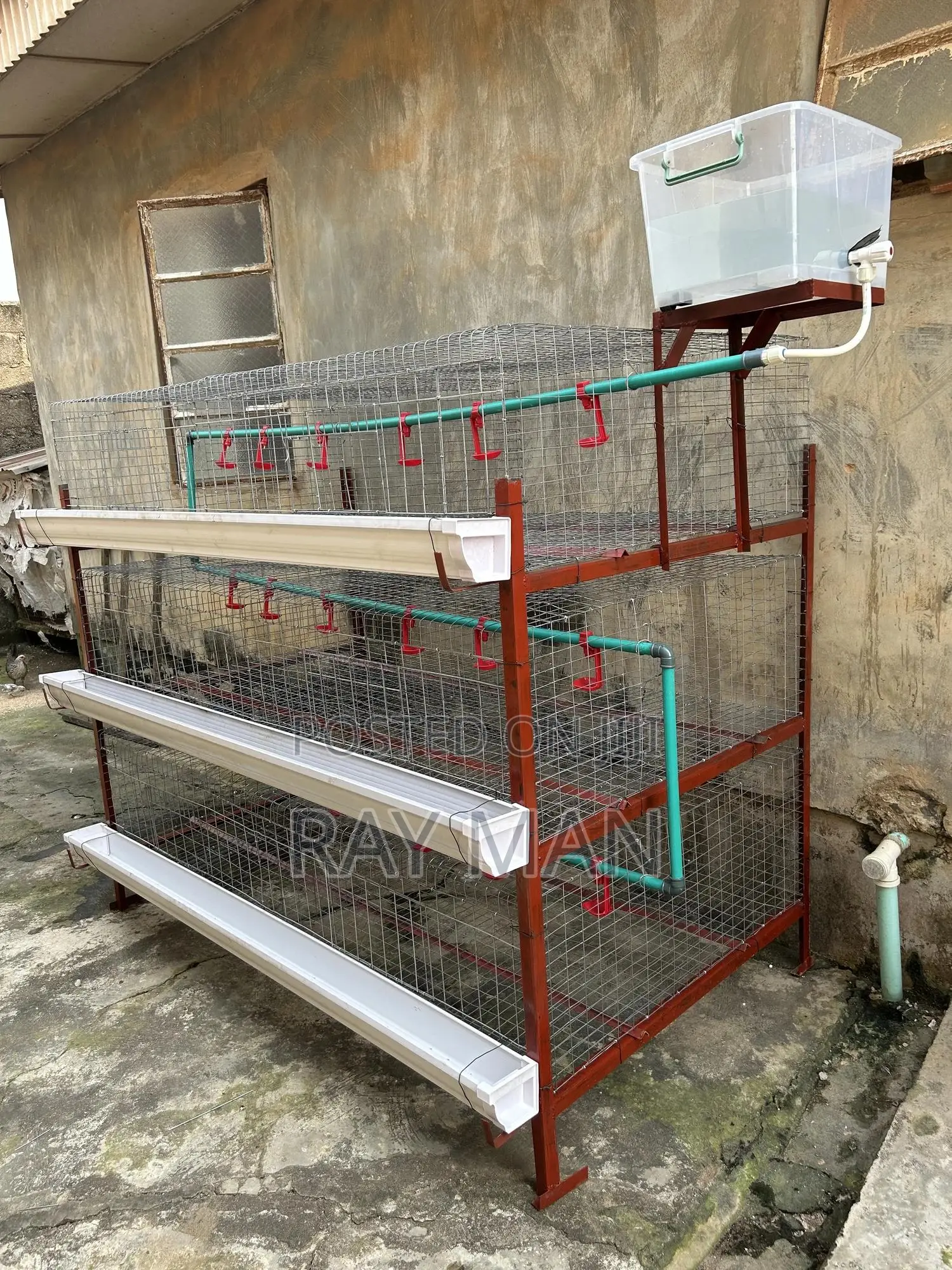 Poultry Cages 100 Birds (For Layers or Broilers)