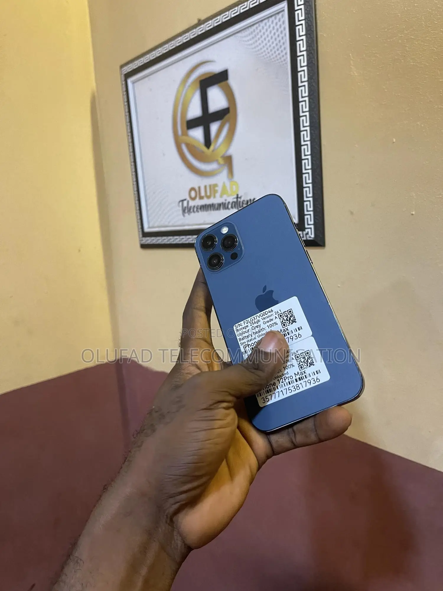 Apple iPhone 12 Pro Max 256 GB Blue