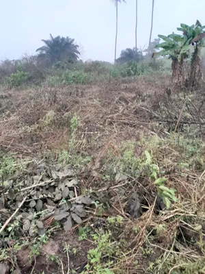 1 Plot at Idi Agba Ado Ekiti