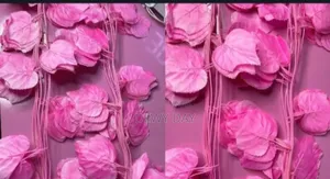 Vines for Room Decoration