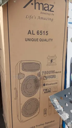 16inches Double Public Address System