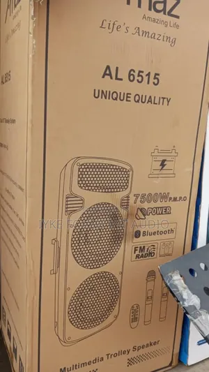 16inches Double Public Address System