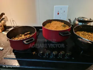 Professional Chef