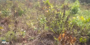 A Plot of Land for Sale