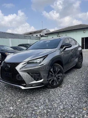 Lexus NX 300 AWD 2019 Gray