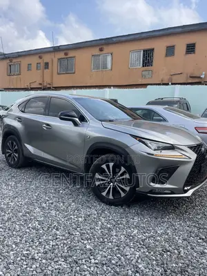 Lexus NX 300 AWD 2019 Gray