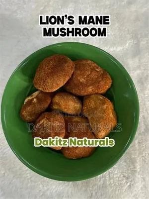 Lion's Mane Mushroom 100g