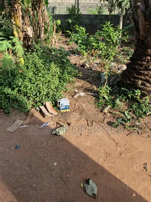 2400m2 On Rumens Road, Ikoyi Lagos 3.8m Per M2
