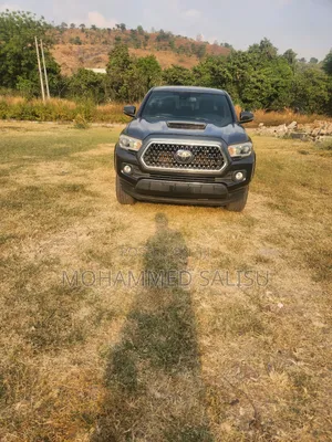 Toyota Tacoma 2018 Gray