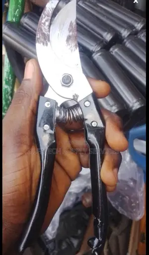 Prunning Shears