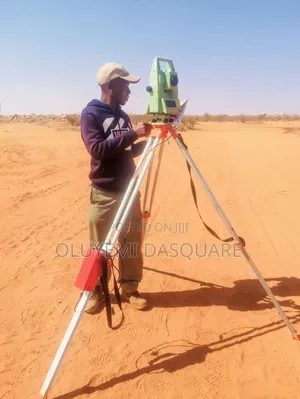 Professional Land Surveyor