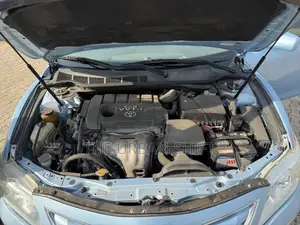 Toyota Camry LE 4dr Sedan (2.4L 4cyl 5A) 2009 Blue