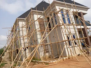 Screeding and Paint Guru