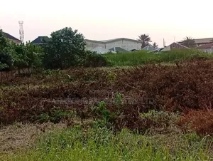 More Than Acre of Land