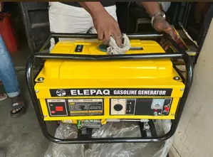 Original Elepaq Gasoline Generator